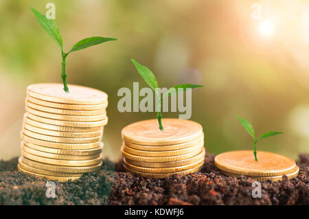 Crescita di albero ed accatastati sulle monete con il suolo, concetto nel risparmiare denaro degli affari, della finanza, dell'economia e banca di account