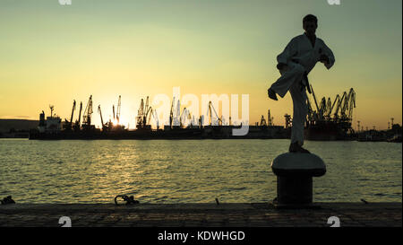 Arti marziali training da soli sul molo sul mare, mettere in pratica i suoi si sposta sul tramonto e gru portuali sfondo. vedere il mio portfolio per ulteriori opzioni. Foto Stock