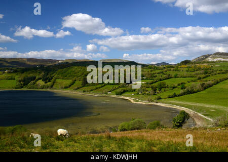 Donegal, Lago, lough, montagne, pecore, Scenic, paesaggio, paesaggio, Wild Atlantic modo, Irlanda, RM in Irlanda, Foto Stock