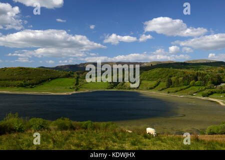 Donegal, Lago, lough, montagne, pecore, Scenic, paesaggio, paesaggio, Wild Atlantic modo, Irlanda, RM in Irlanda, Foto Stock