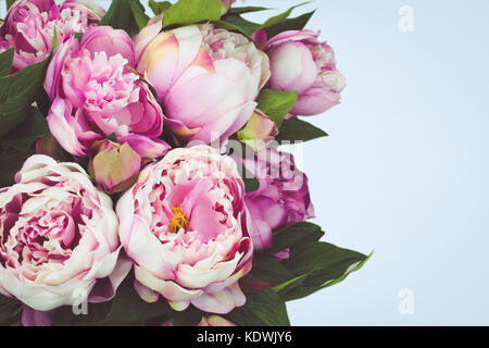 Rosa peonia bouquet su sfondo blu. Foto Stock