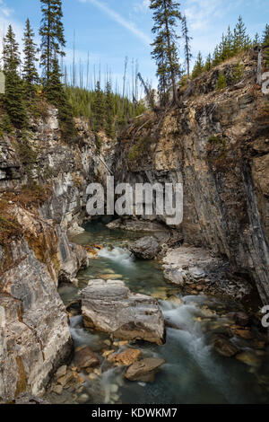 Tokumm Creek si snoda attraverso il Canyon in marmo in Kootenay National Park, British Columbia Foto Stock