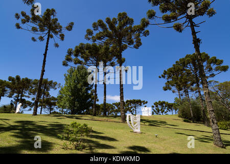 Sculture in open-air 'Museu Felicia Leirner' museo e giardino, con pino brasiliano (Araucaria angustifolia), a.k.a. parana pine, Campos do Jordao Foto Stock