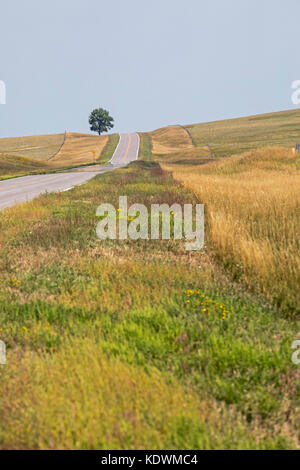 La contea di sioux, Nebraska - a Lone Tree si affianca l'autostrada 29 in western nebraska. Foto Stock