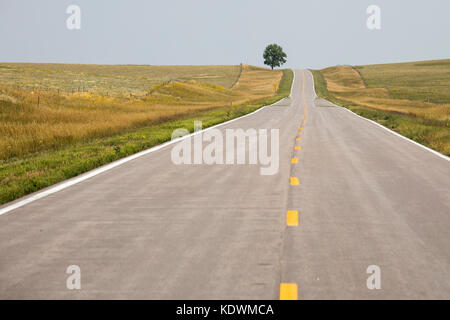 La contea di sioux, Nebraska - a Lone Tree si affianca l'autostrada 29 in western nebraska. Foto Stock