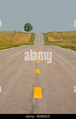 La contea di sioux, Nebraska - a Lone Tree si affianca l'autostrada 29 in western nebraska. Foto Stock