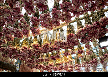 Lampadine sulla vendita in Amsterdam's Bloemenmarkt Foto Stock