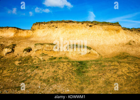 Clay cliff erosione sul lungomare a Bexhill, East Sussex Regno Unito Foto Stock