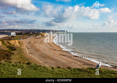 Un Gabbiano si trova sulla scogliera erbose cime a Bexhill, con una vista lungo verso Hastings, East Sussex, Regno Unito Foto Stock