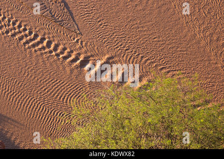 River a la Quebrada de la Conches, Valles Calchaquies, Provincia di Salta, Argentina Foto Stock