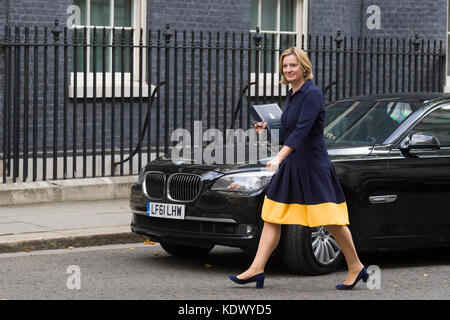 Ambra Rudd MP, l'Home Secretary arrivando per un 2,5 ore di riunione di gabinetto a 10 Downing Street, Londra, sentir parlare di Theresa Maggio parlare della quale ella è Foto Stock