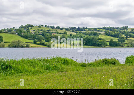 Lago di BLAGDON SOMERSET Inghilterra primavera i prati pieni di fiori selvatici Foto Stock