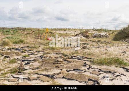 Collegamenti di scavi e siti archeologici di Noltland, Westray, Orkney, Scozia, Regno Unito Foto Stock