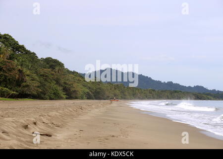 Hotel Banana Azul Beach, Playa Negra, Puerto Viejo de Talamanca, Limón provincia, il Mare dei Caraibi, Costa Rica, America Centrale Foto Stock