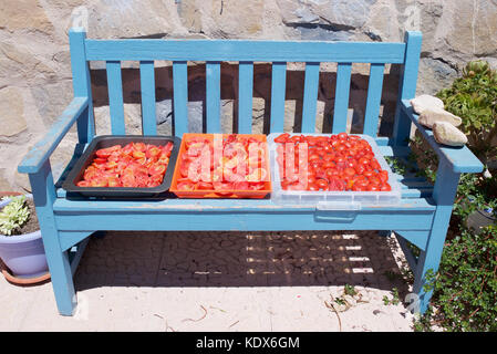 Vassoio di pomodori di essiccazione al sole Foto Stock