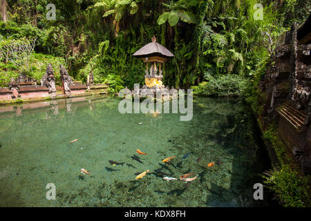 Tempio dell'isola presso il santo molle alla Pura Gunung Kawi sebatu tempio, tegalalang nei pressi di Ubud, Bali, Indonesia Foto Stock