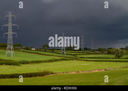 Rete di distribuzione di energia elettrica Irlanda del Nord linee elettriche aeree rurali illuminate dal sole e piloni nella contea di Armagh, Foto Stock