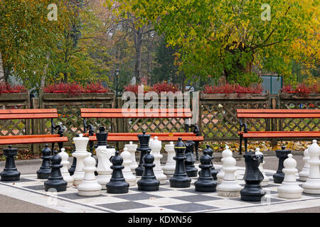 In bianco e nero a scacchi figure nel parco stagione autunno Foto Stock