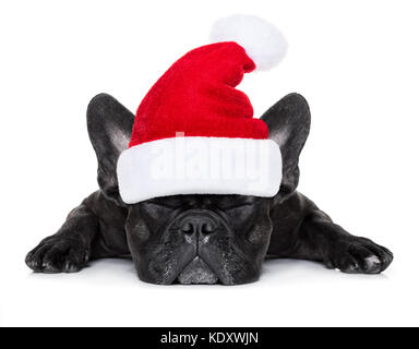 Bulldog francese cane con red christmas santa claus hat per le vacanze di Natale dormendo , isolato su sfondo bianco Foto Stock