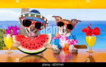 Divertente coppia di cani di bere un cocktail presso il bar in un beach club parte con vista oceano su vacanze estive vacanze, mangiando un fresco succosa anguria Foto Stock