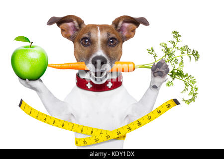 Cane sano con la carota in bocca e nastro di misurazione intorno alla vita isolata su sfondo bianco e una mela verde Foto Stock