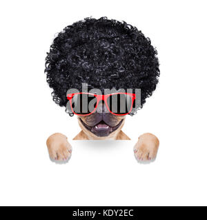 Cool bulldog francese con occhiali da sole che indossa un nero afro look curly wig , sorridendo a voi, isolati su sfondo bianco Foto Stock