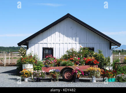 Schuh fattorie - Mount Vernon, WA USA Foto Stock