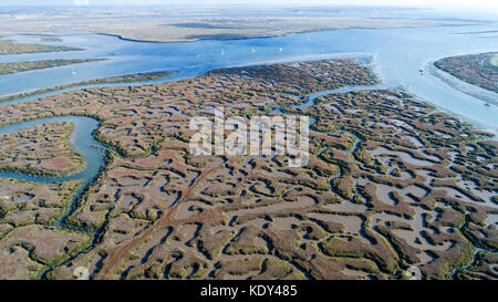 Tollesbury Saltings in Essex domenica mattina,Ottobre 15th.La zona è attrarre un afflusso di visitatori dopo essere stata utilizzata sul dramma di ITV bugiardo Foto Stock