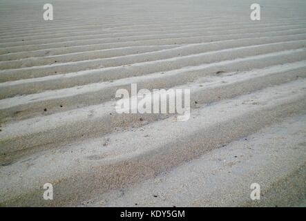 Una serie di passi verso sinistra nella sabbia dalla marea sfuggente. La sabbia è bianca. piccoli fori praticati dai granchi possono essere visto. le fasi tendere all'orizzonte. Foto Stock