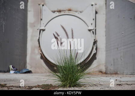 Storm drain con erbacce crescere attraverso le crepe in calcestruzzo lungo il fiume di los angeles, glendale si restringe, Los Angeles, california, Stati Uniti d'America Foto Stock