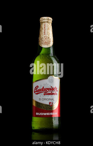 LONDRA, UK - 30 MARZO 2017 : bottiglia di birra Budweiser Budvar su sfondo nero, una delle birre più vendute della Repubblica Ceca. Foto Stock