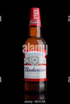 LONDRA,UK - 21 MARZO 2017 : bottiglia di birra Budweiser con nuovo cappuccio a spioncello su sfondo nero. Una lager americana introdotta per la prima volta nel 1876. Foto Stock