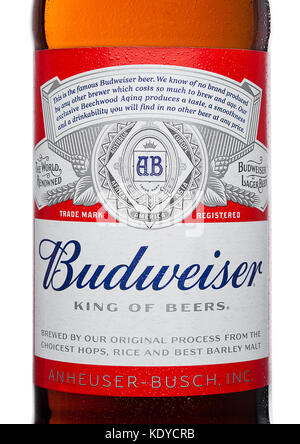 LONDRA,UK - 21 MARZO 2017 : etichetta in bottiglia di Budweiser Beer con nuovo tappo svitabile su sfondo bianco. Una lager americana introdotta per la prima volta nel 1876. Foto Stock