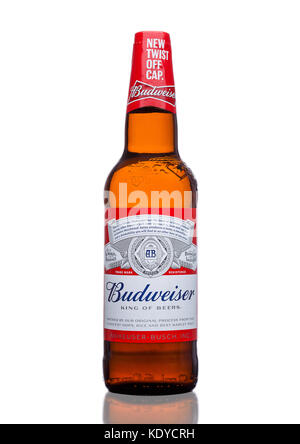 LONDRA, UK - 21 MARZO 2017 : bottiglia di birra Budweiser con nuovo tappo a vite su sfondo bianco. Una lager americana introdotta per la prima volta nel 1876. Foto Stock