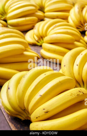 Naturale organico maturo banana grappoli su un mercato locale, il fuoco selettivo. Foto Stock