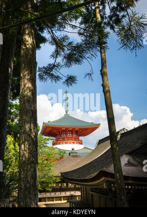 Daito Grande Pagoda tra alberi di cedro a Danjo Garan nel Tempio Kongobuji, Koya-san, prefettura di Wakayama, Giappone Foto Stock