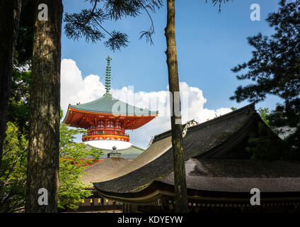 Daito Grande Pagoda tra alberi di cedro a Danjo Garan nel Tempio Kongobuji, Koya-san, prefettura di Wakayama, Giappone Foto Stock