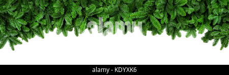 Ampio Bordo di Natale disposti con fresco rami d abete isolato su bianco a forma di un arco, formato di intestazione Foto Stock