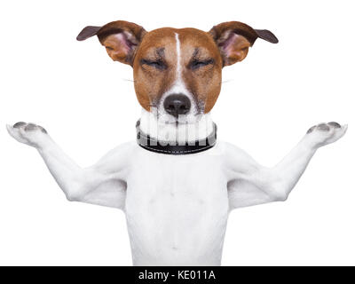 Meditando cane con braccia alzate in alto e gli occhi chiusi Foto Stock