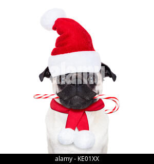 Pug dog come Babbo Natale con Red Hat, per le vacanze di natale, guardando muto, con una caramella di zucchero di canna in bocca, isolati su sfondo bianco Foto Stock