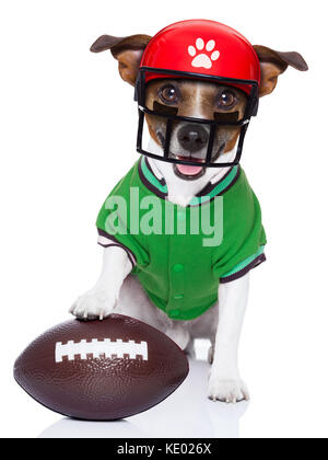 Rugby sportivo cane con un grande sport sfera , isolato su sfondo bianco che indossa il football americano casco Foto Stock