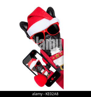 Babbo Natale Natale cane indossando un cappello prendendo un selfie, isolato su sfondo bianco Foto Stock