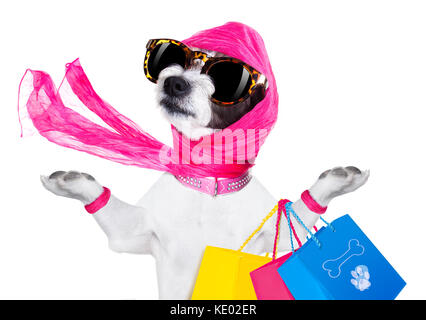 Pazzo e sciocco terrier cane diva lady con shopping bag, isolato su sfondo bianco Foto Stock