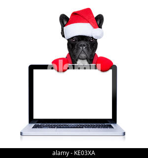 Natale bulldog francese cane con santa claus costume dietro un computer portatile pc, isolati su sfondo bianco Foto Stock