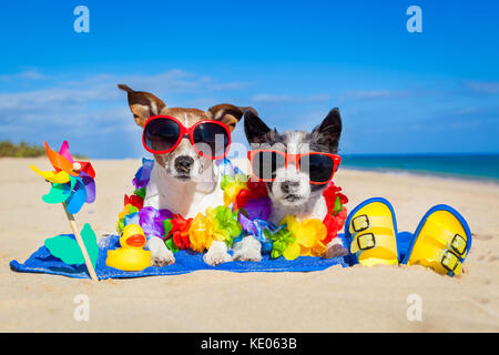 Paio di due dog sitter ravvicinate e gli asciugamani per la spiaggia su vacanze estive vacanze, su un rifugio per la luna di miele Foto Stock