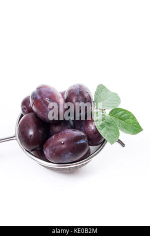 Colapasta in acciaio dolce con prugne succose isolato su uno sfondo bianco. Foto Stock