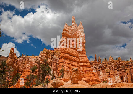 Bryce canon parco nazionale. usa Foto Stock