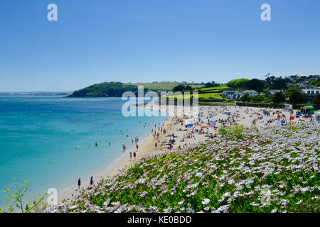 Gyllyngvase Beach, Falmouth, Cornwall, Regno Unito Foto Stock