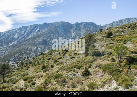 Cabezo del Cervunal, Sierra de Gredos, Spagna Foto Stock
