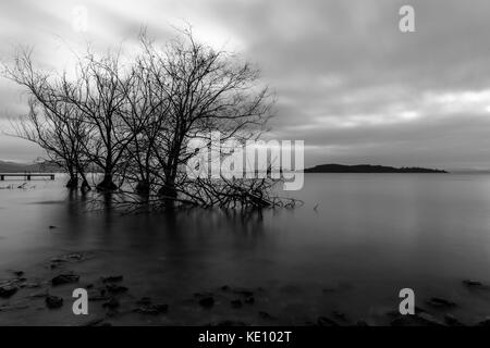 Una lunga esposizione vista di un lago al tramonto, con perfettamente ancora acqua, scheletrico alberi e nuvole in movimento Foto Stock